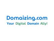 Mastering Domain Selection with Domaizing | TLDAcademy